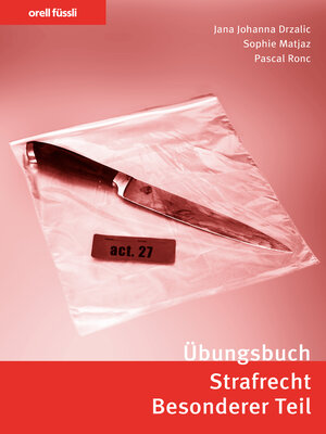 cover image of Übungsbuch Strafrecht Besonderer Teil